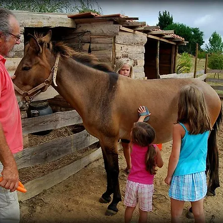 Adega - Quinta Antes O Vento * Acipreste